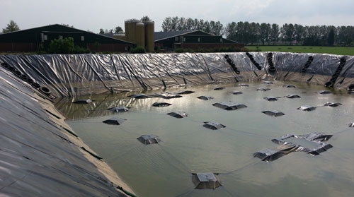 Foliebassin Foliebassin